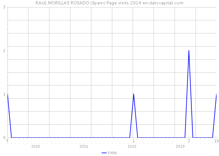 RAUL MORILLAS ROSADO (Spain) Page visits 2024 