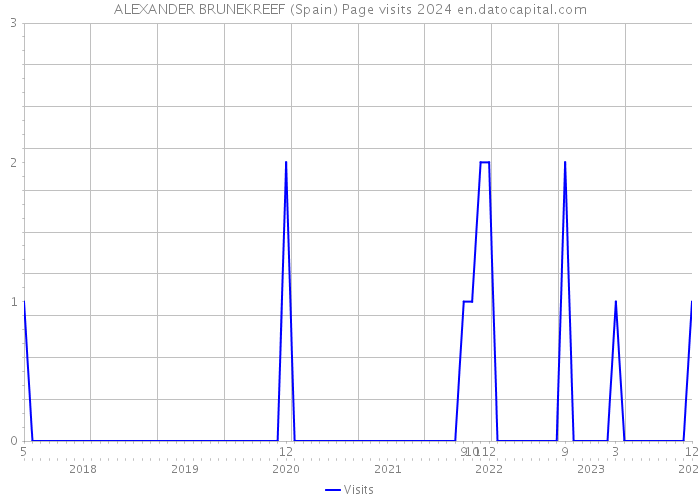 ALEXANDER BRUNEKREEF (Spain) Page visits 2024 