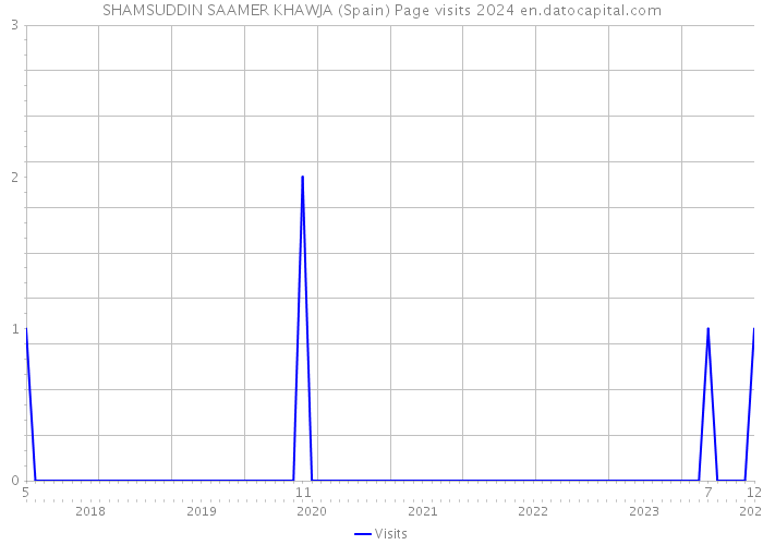 SHAMSUDDIN SAAMER KHAWJA (Spain) Page visits 2024 