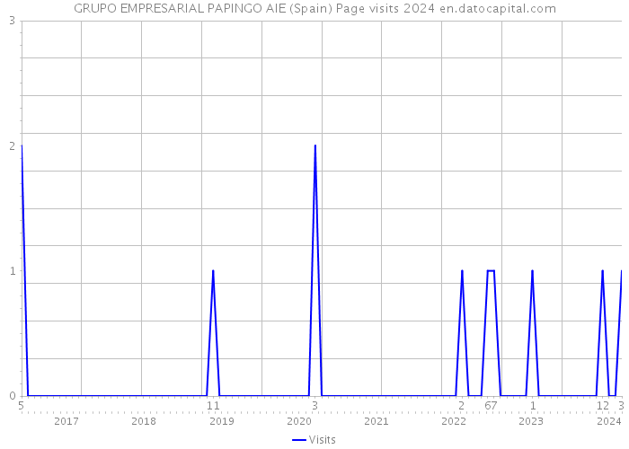 GRUPO EMPRESARIAL PAPINGO AIE (Spain) Page visits 2024 