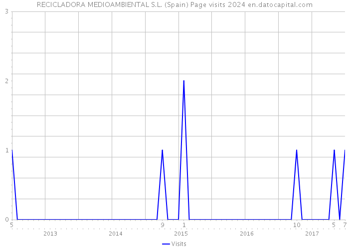 RECICLADORA MEDIOAMBIENTAL S.L. (Spain) Page visits 2024 