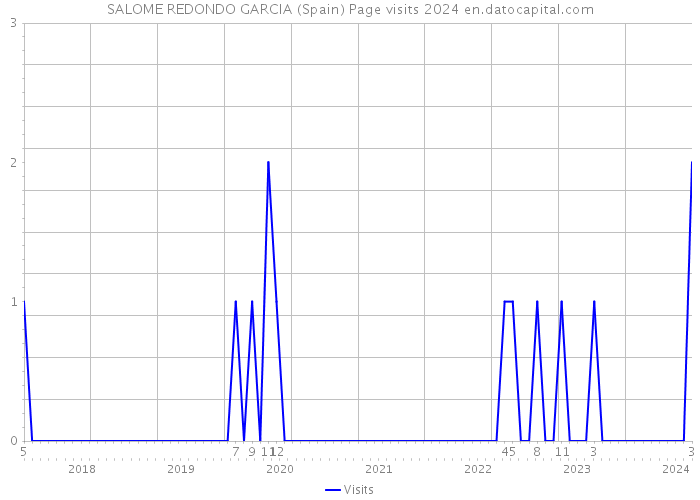 SALOME REDONDO GARCIA (Spain) Page visits 2024 