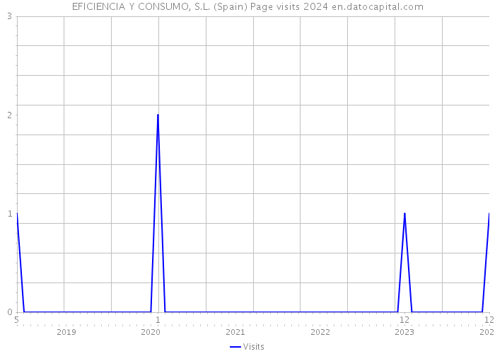 EFICIENCIA Y CONSUMO, S.L. (Spain) Page visits 2024 