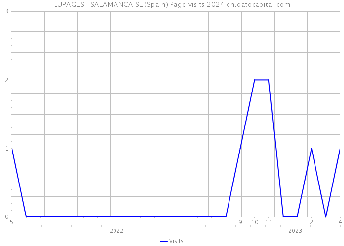 LUPAGEST SALAMANCA SL (Spain) Page visits 2024 