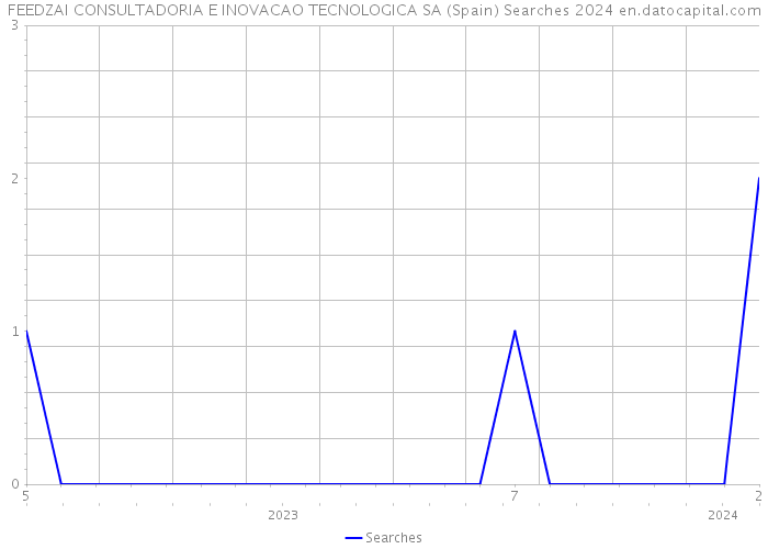 FEEDZAI CONSULTADORIA E INOVACAO TECNOLOGICA SA (Spain) Searches 2024 