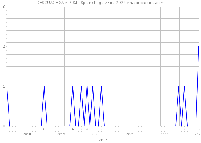 DESGUACE SAMIR S.L (Spain) Page visits 2024 