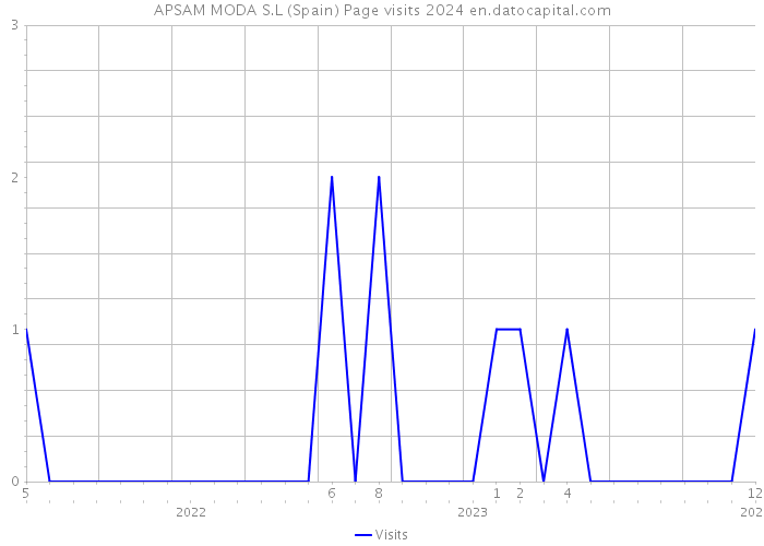 APSAM MODA S.L (Spain) Page visits 2024 