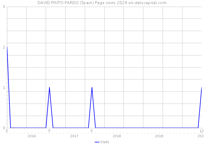 DAVID PINTO PARDO (Spain) Page visits 2024 
