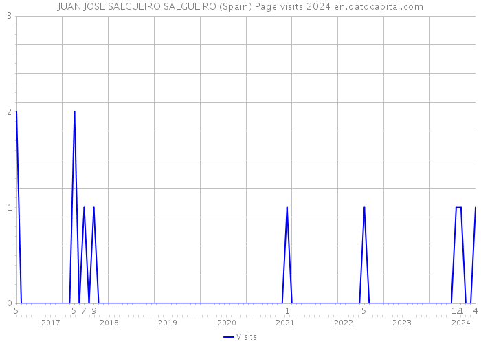 JUAN JOSE SALGUEIRO SALGUEIRO (Spain) Page visits 2024 