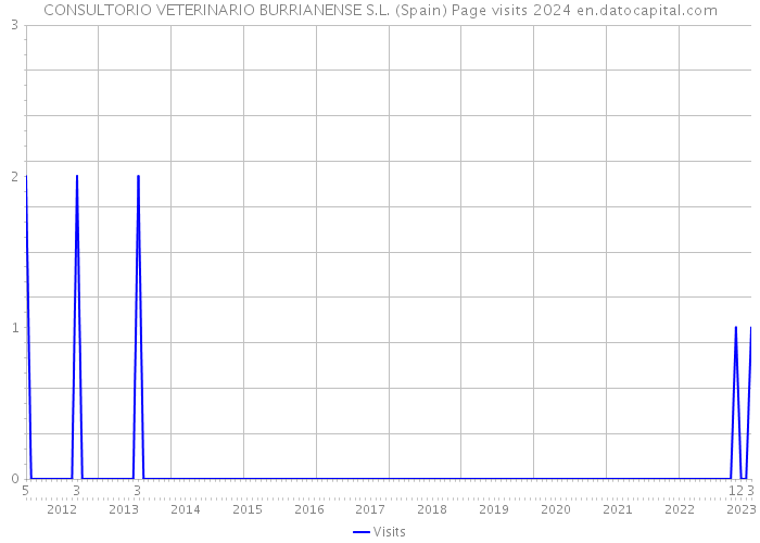CONSULTORIO VETERINARIO BURRIANENSE S.L. (Spain) Page visits 2024 