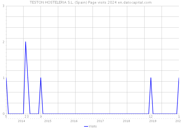 TESTON HOSTELERIA S.L. (Spain) Page visits 2024 