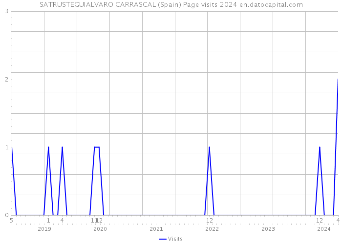 SATRUSTEGUIALVARO CARRASCAL (Spain) Page visits 2024 