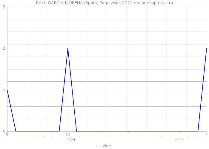 RAUL GARCIA MORENA (Spain) Page visits 2024 