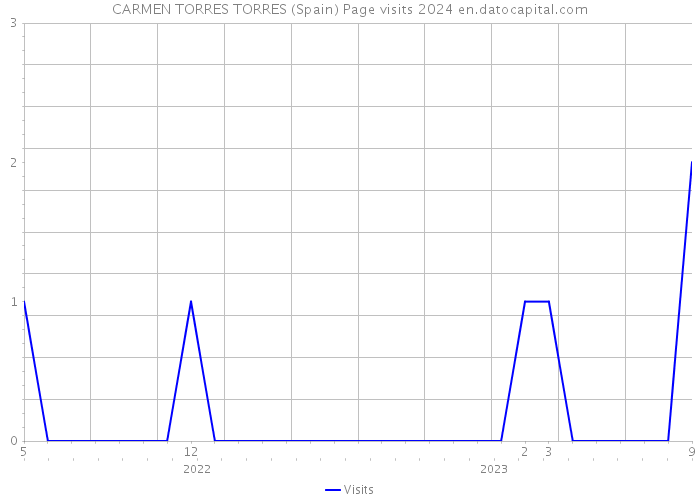 CARMEN TORRES TORRES (Spain) Page visits 2024 