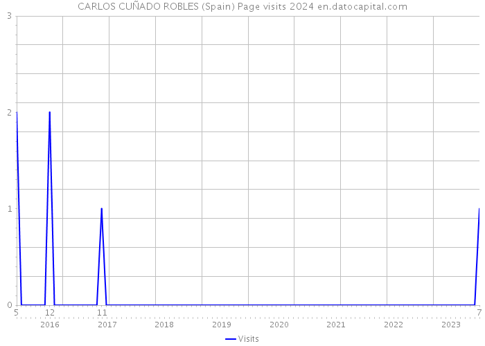 CARLOS CUÑADO ROBLES (Spain) Page visits 2024 