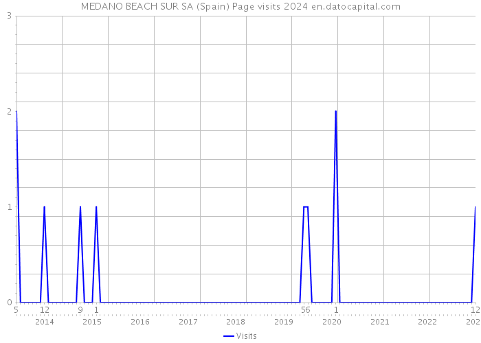 MEDANO BEACH SUR SA (Spain) Page visits 2024 