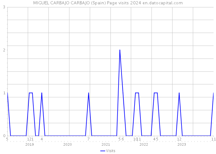 MIGUEL CARBAJO CARBAJO (Spain) Page visits 2024 