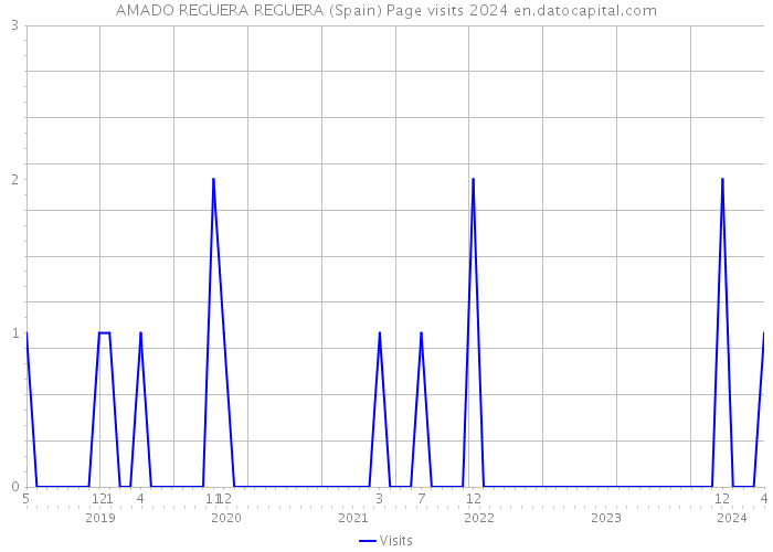 AMADO REGUERA REGUERA (Spain) Page visits 2024 