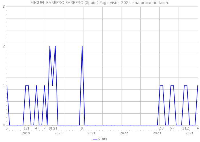 MIGUEL BARBERO BARBERO (Spain) Page visits 2024 