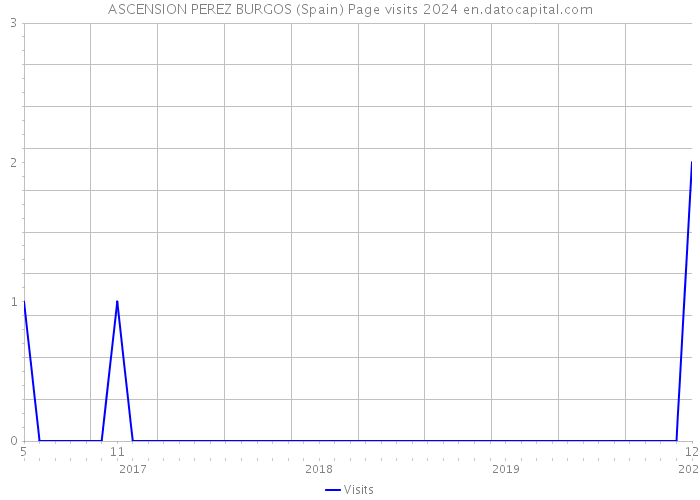 ASCENSION PEREZ BURGOS (Spain) Page visits 2024 