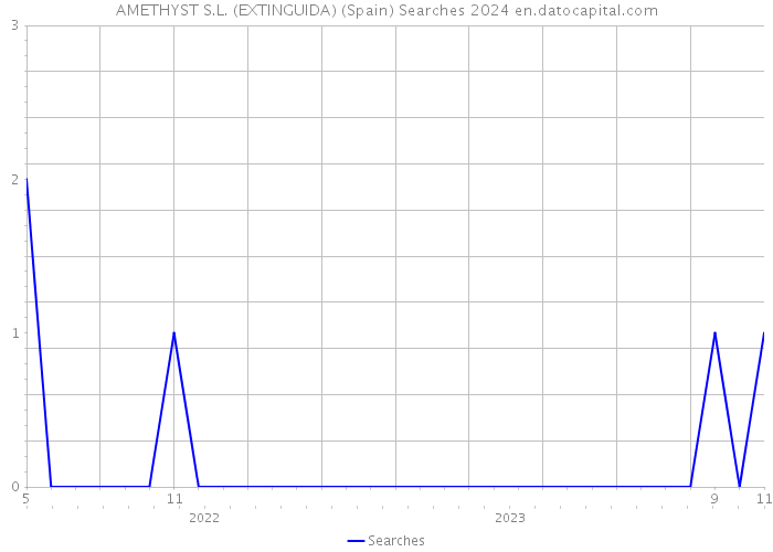 AMETHYST S.L. (EXTINGUIDA) (Spain) Searches 2024 