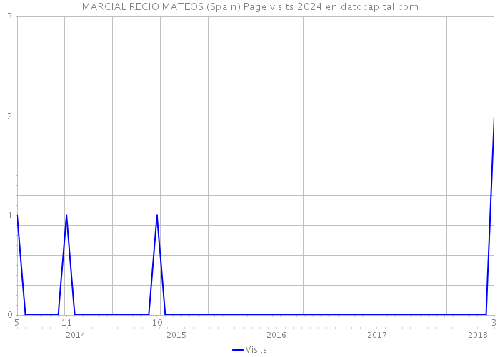 MARCIAL RECIO MATEOS (Spain) Page visits 2024 