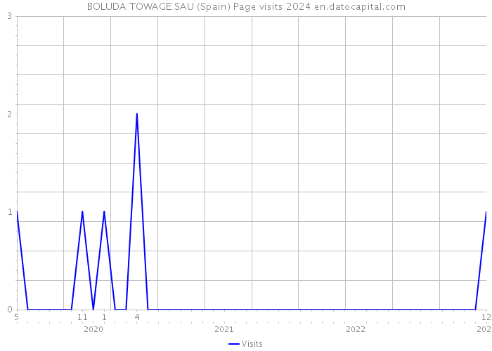 BOLUDA TOWAGE SAU (Spain) Page visits 2024 