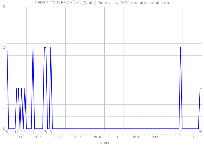 PEDRO TORRES GAÑAN (Spain) Page visits 2024 