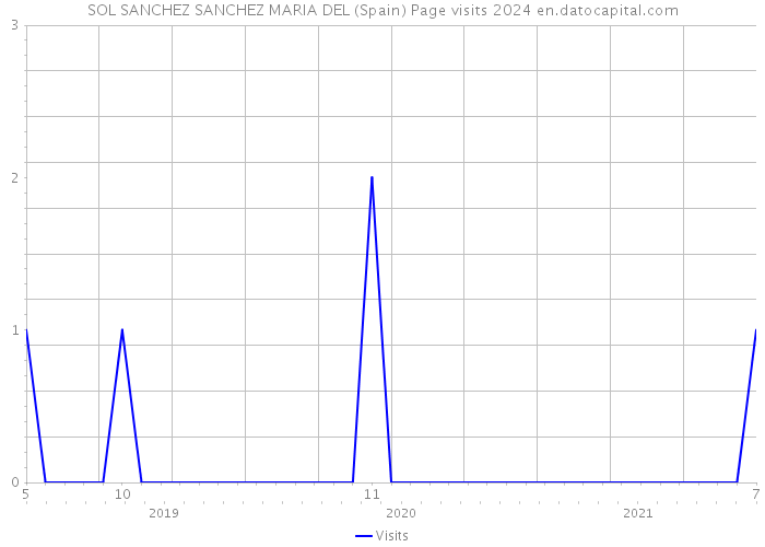SOL SANCHEZ SANCHEZ MARIA DEL (Spain) Page visits 2024 