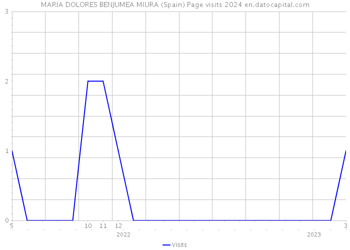MARIA DOLORES BENJUMEA MIURA (Spain) Page visits 2024 