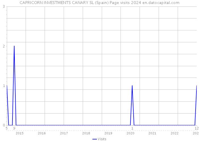 CAPRICORN INVESTMENTS CANARY SL (Spain) Page visits 2024 