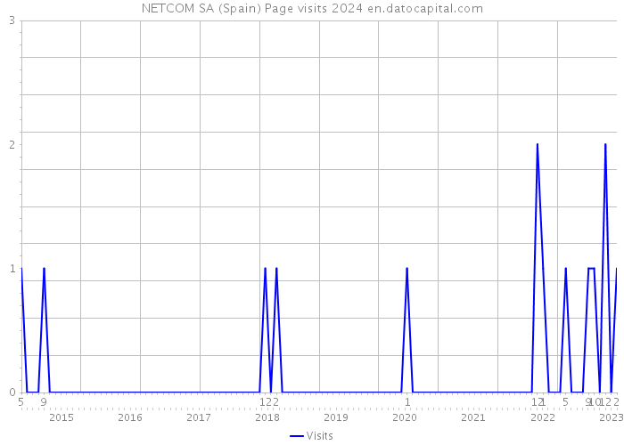 NETCOM SA (Spain) Page visits 2024 