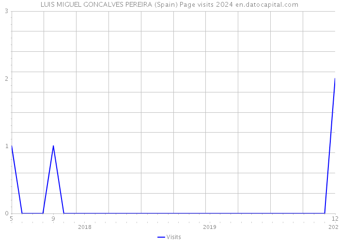 LUIS MIGUEL GONCALVES PEREIRA (Spain) Page visits 2024 