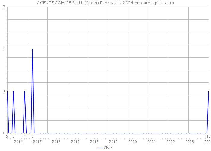 AGENTE COHIGE S.L.U. (Spain) Page visits 2024 