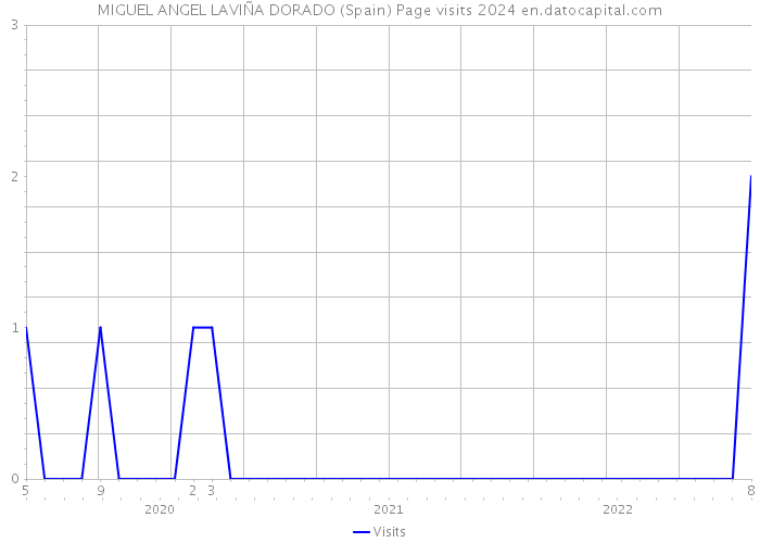 MIGUEL ANGEL LAVIÑA DORADO (Spain) Page visits 2024 