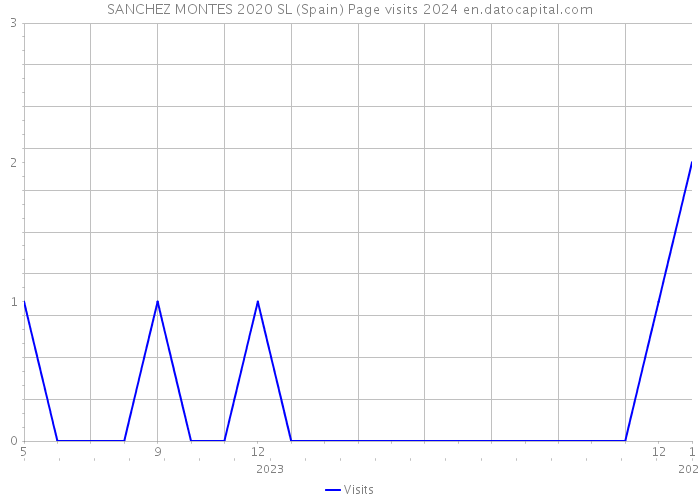 SANCHEZ MONTES 2020 SL (Spain) Page visits 2024 