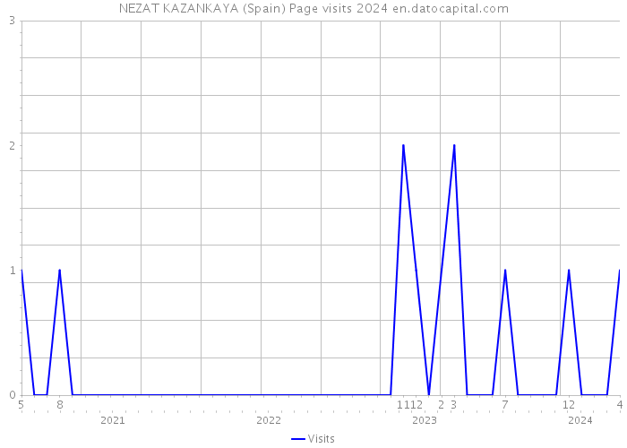 NEZAT KAZANKAYA (Spain) Page visits 2024 