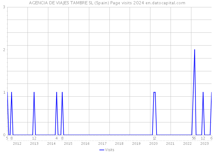 AGENCIA DE VIAJES TAMBRE SL (Spain) Page visits 2024 