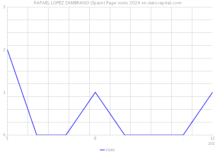 RAFAEL LOPEZ ZAMBRANO (Spain) Page visits 2024 