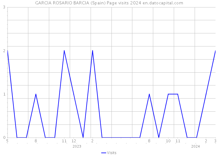 GARCIA ROSARIO BARCIA (Spain) Page visits 2024 