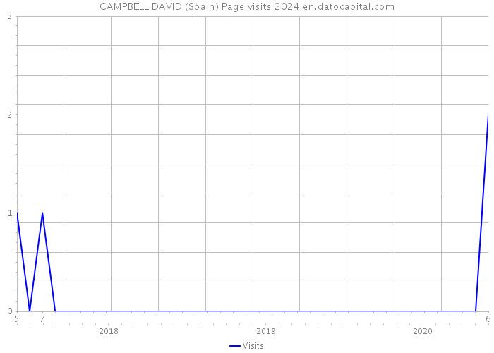 CAMPBELL DAVID (Spain) Page visits 2024 