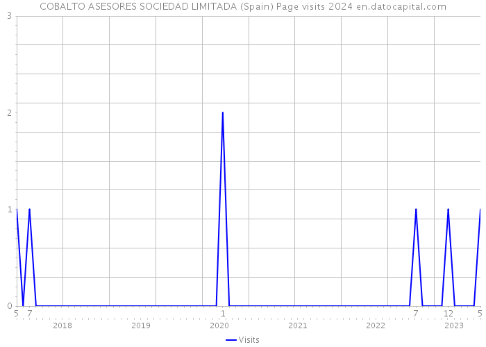 COBALTO ASESORES SOCIEDAD LIMITADA (Spain) Page visits 2024 
