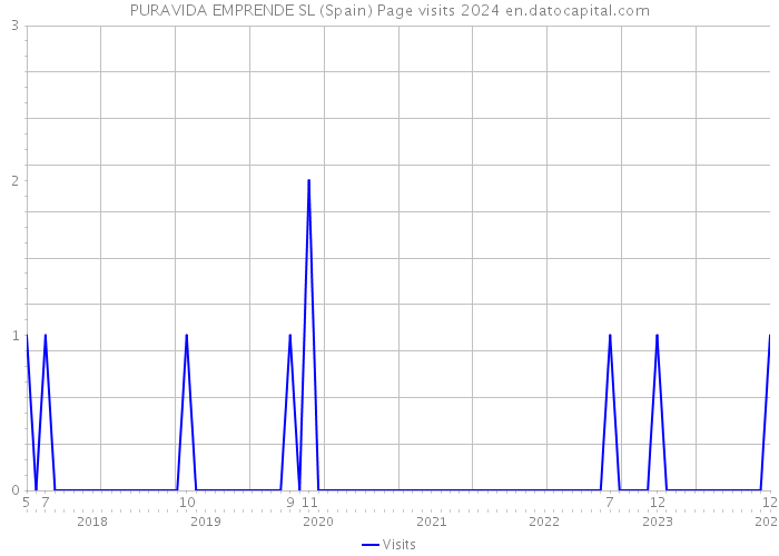 PURAVIDA EMPRENDE SL (Spain) Page visits 2024 