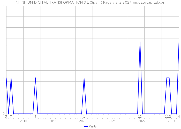 INFINITUM DIGITAL TRANSFORMATION S.L (Spain) Page visits 2024 