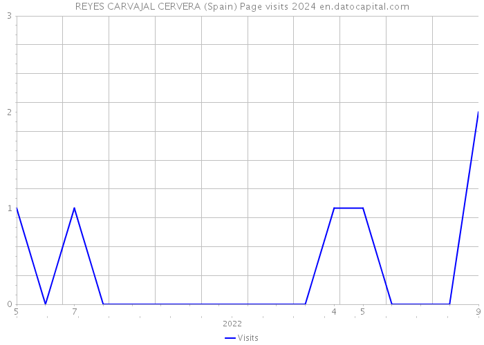 REYES CARVAJAL CERVERA (Spain) Page visits 2024 