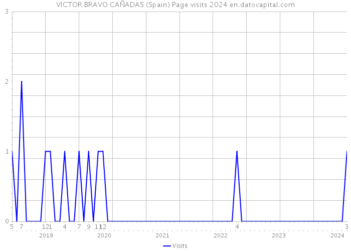 VICTOR BRAVO CAÑADAS (Spain) Page visits 2024 