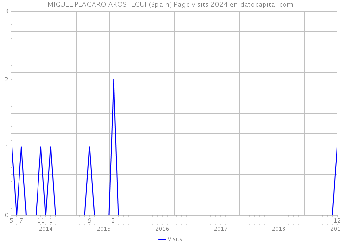 MIGUEL PLAGARO AROSTEGUI (Spain) Page visits 2024 