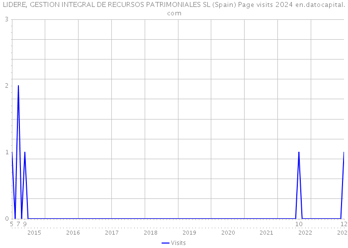LIDERE, GESTION INTEGRAL DE RECURSOS PATRIMONIALES SL (Spain) Page visits 2024 