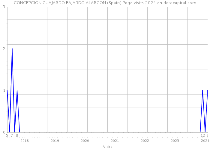 CONCEPCION GUAJARDO FAJARDO ALARCON (Spain) Page visits 2024 