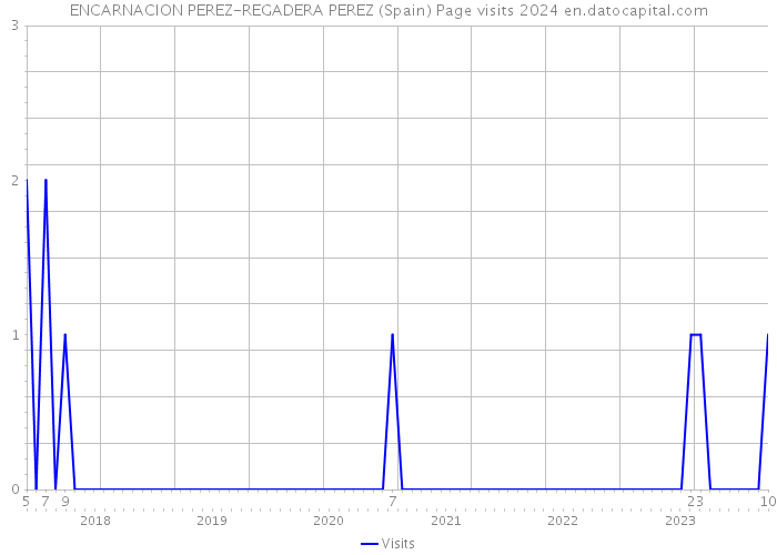 ENCARNACION PEREZ-REGADERA PEREZ (Spain) Page visits 2024 